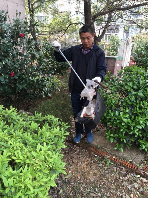 控制鼠害、預防疾病，構(gòu)建和諧文明社區(qū)